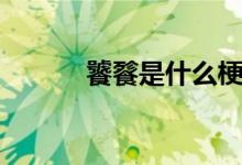 饕餮是什么梗（饕餮的而解釋）