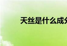 天絲是什么成分（天絲是啥成分）