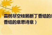 霜樹(shù)盡空枝腸斷丁香結(jié)的意思詩(shī)意20字(霜樹(shù)盡空枝腸斷丁香結(jié)的意思詩(shī)意)