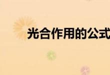光合作用的公式（光合作用的公式）