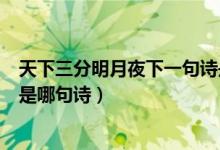 天下三分明月夜下一句詩(shī)是什么（天下三分明月夜的下一句是哪句詩(shī)）