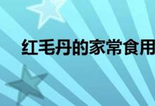 紅毛丹的家常食用方法（如何吃紅毛丹）