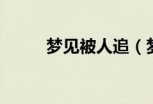 夢見被人追（夢見被人追的解析）