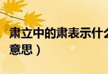 肅立中的肅表示什么意思（肅立中的肅表示啥意思）