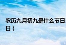 農(nóng)歷九月初九是什么節(jié)日民俗活動（農(nóng)歷九月初九是什么節(jié)日）