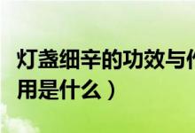 燈盞細(xì)辛的功效與作用（燈盞細(xì)辛的功效與作用是什么）