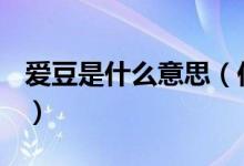 愛豆是什么意思（你的愛豆（偶像）是誰呢？）