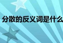 分散的反義詞是什么（分散的反義詞有哪些）