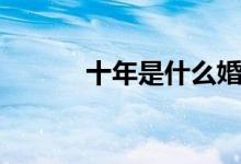 十年是什么婚（十年屬于什么）