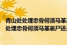 青山處處埋忠骨何須馬革裹尸還是誰(shuí)寫的己亥雜詩(shī)（青山處處埋忠骨何須馬革裹尸還是誰(shuí)寫的）