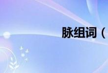 脈組詞（漢字脈組詞）