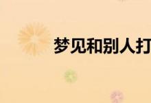 夢見和別人打架（意味著什么）