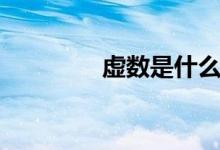虛數(shù)是什么（舉一個(gè)例子）
