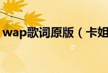 wap歌詞原版（卡姐新歌wap原版歌詞介紹）