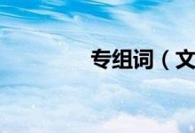 專組詞（文字專怎么組詞）