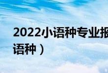 2022小語種專業(yè)報(bào)考條件（什么考生適合小語種）