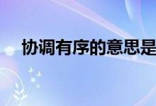 協調有序的意思是什么（協調有序解釋）