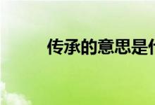 傳承的意思是什么（傳承的解釋）