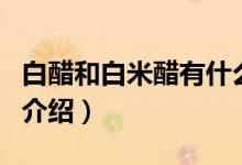 白醋和白米醋有什么區(qū)別（白醋和白米醋區(qū)別介紹）
