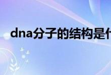 dna分子的結構是什么結構（有什么特點）