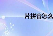 片拼音怎么寫（片怎么讀）