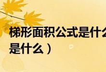 梯形面積公式是什么時候學的（梯形面積公式是什么）