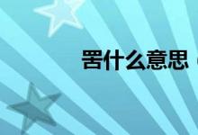罟什么意思（罟字簡單介紹）