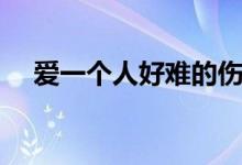 愛(ài)一個(gè)人好難的傷感說(shuō)說(shuō)（傷感的說(shuō)說(shuō)）