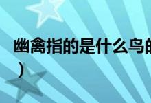 幽禽指的是什么鳥的叫聲（幽禽指的是什么鳥）