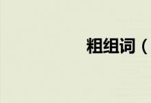 粗組詞（粗組什么詞）