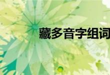 藏多音字組詞（藏組詞有哪些）