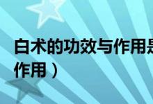 白術(shù)的功效與作用是什么（白術(shù)有什么功效和作用）