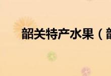 韶關(guān)特產(chǎn)水果（韶關(guān)特產(chǎn)水果的介紹）