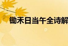 鋤禾日當(dāng)午全詩解釋（鋤禾日當(dāng)午全詩）