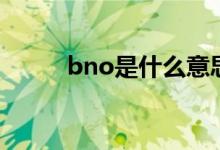 bno是什么意思（bno意思簡述）