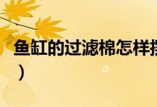 魚缸的過濾棉怎樣擺放（魚缸的過濾棉怎么放）