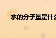 水的分子量是什么意思(水的分子量)
