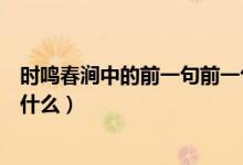 時鳴春澗中的前一句前一句是什么（時鳴春澗中的前一句是什么）