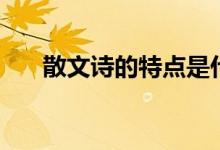 散文詩(shī)的特點(diǎn)是什么（散文詩(shī)的特點(diǎn)）
