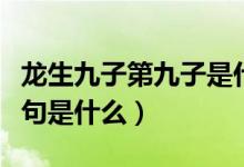 龍生九子第九子是什么意思（龍生九子的后一句是什么）