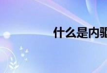 什么是內(nèi)驅(qū)力都包含什么