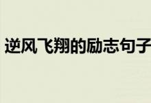 逆風(fēng)飛翔的勵志句子（表達逆風(fēng)飛翔的說說）