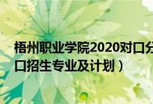 梧州職業(yè)學(xué)院2020對口分?jǐn)?shù)線（2022梧州職業(yè)學(xué)院高職對口招生專業(yè)及計劃）