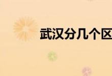 武漢分幾個(gè)區(qū)（武漢分幾個(gè)區(qū)）