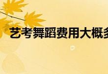 藝考舞蹈費(fèi)用大概多少（集訓(xùn)需要多少錢）