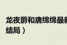 龍夜爵和唐綿綿最新（惹愛成癮唐綿綿龍夜爵結(jié)局）