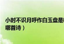 小時不識月呼作白玉盤是哪首詩（小時不識月呼作白玉盤是哪首詩）