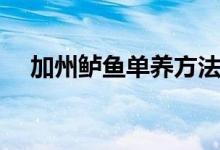加州鱸魚單養(yǎng)方法（如何養(yǎng)殖加州鱸魚）