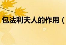 包法利夫人的作用（包法利夫人的作者是誰）