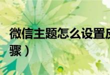 微信主題怎么設(shè)置皮膚（微信設(shè)置主題皮膚步驟）